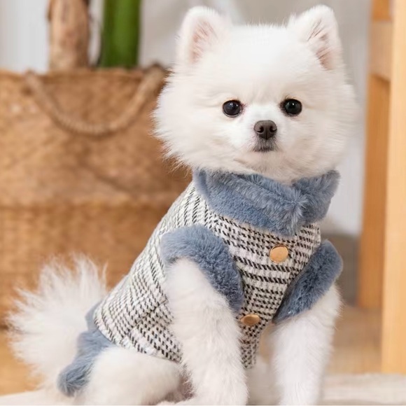 Stylish dog jacket - Picture 3 of 5